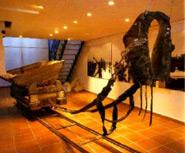 Museu de la Sal