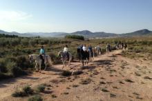 Teràpia amb cavalls a Alacant