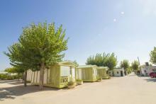 Camping Olé Oliva