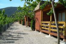 Vive el verano en el Camping La Falaguera