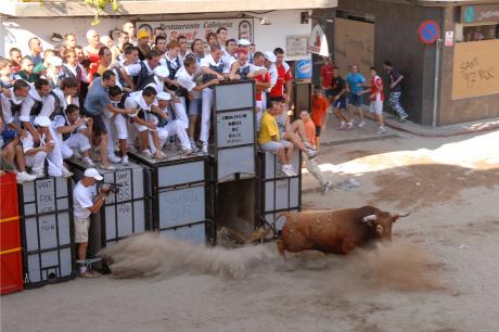 Fiestas de San Roque
