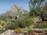The Benicadell and Agullent Sierras
