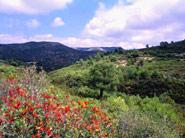 Sierra de Irta Nature Reserve
