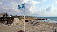 Playa Flamenca (Cala Mosca)