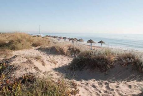 Playa de La Garrofera