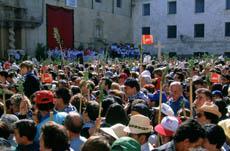Festividad de la Santa Faz (La Peregrina)