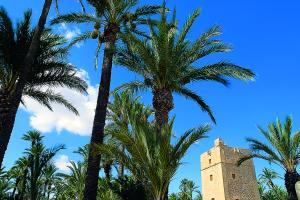 Ce weekend, rendez-vous à Elche à des prix low cost