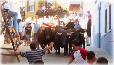 Fiestas Patronales de Ayora