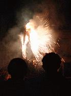 Festivity of St. Anthony Abbot
