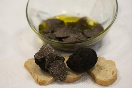 5th Edition of Jornadas Gastronómicas de la Trufa del Alt Maestrat 2016
