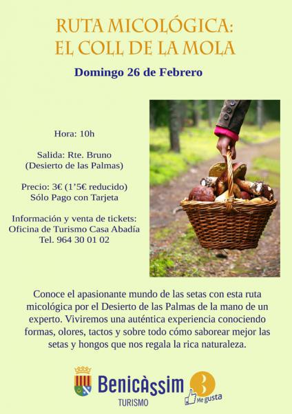 Programa oficial de visitas guiadas Febrero 2017 - 26 Febrero
