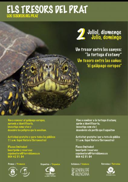Actividad medioambiental sobre el galapago europeo
