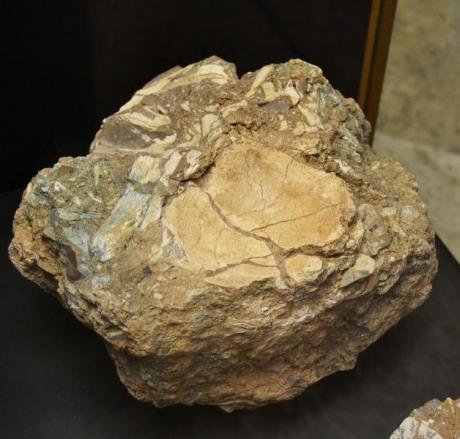 Visita al yacimiento de la Cova de Bolomor