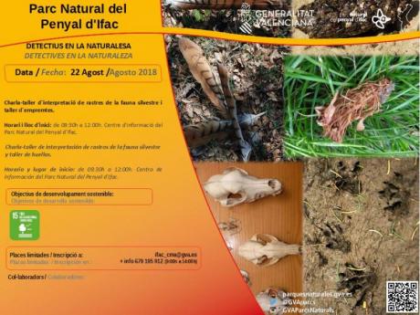 Detectives en la Naturaleza