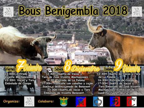 Bous a Benigembla 2018