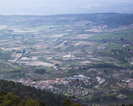 Ruta Senderista en el Montcabrer (Sierra de Mariola)