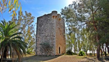 Entdecken Sie Cabanes als Touristenziel mit der Fira de Sant Andreu