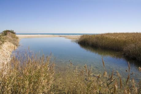 L'estany