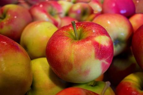 La manzana esperiega del Rincón de Ademuz