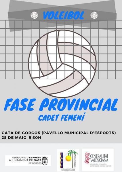 VOLIEBOL