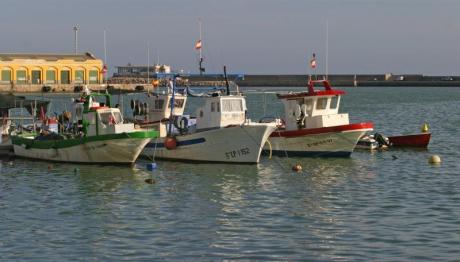 Fiestas del Carmen en Borriana