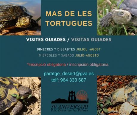 Visitas guiadas Mas de les Tortugues - Desert de les Palmes