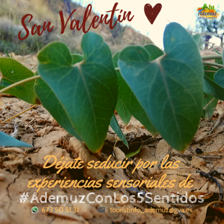 San Valentín en #AdemuzConLos5Sentidos