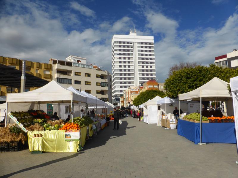 Fiesta de la Alcachofa de Benicarló 6