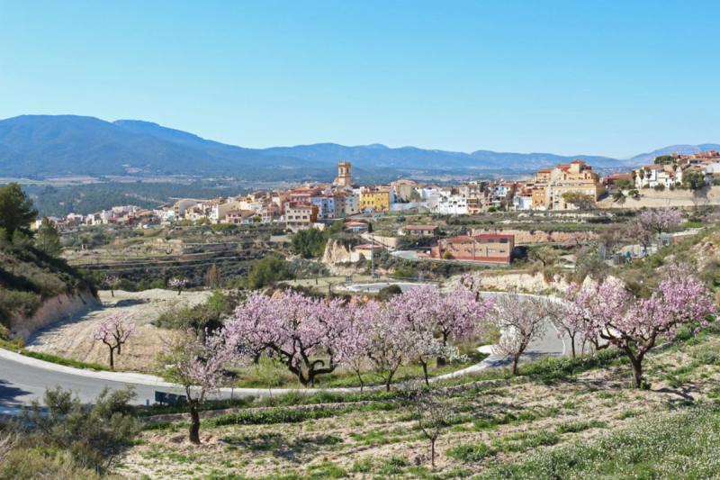 Pueblo de Tibi