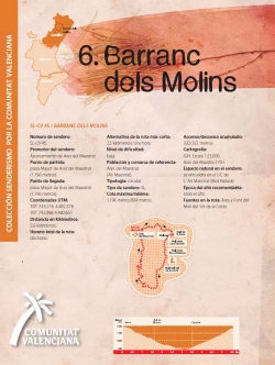 Ruta 6: Barranc dels Molins